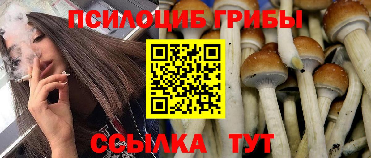 Псилоцибиновые грибы Psilocybine cubensis  Вход с VPN  Ижевск 
