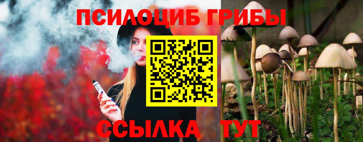 Псилоцибиновые грибы Cubensis Ижевск